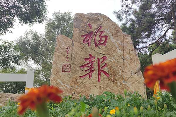 沈阳公墓生态葬：生命与自然和谐共生的新选择