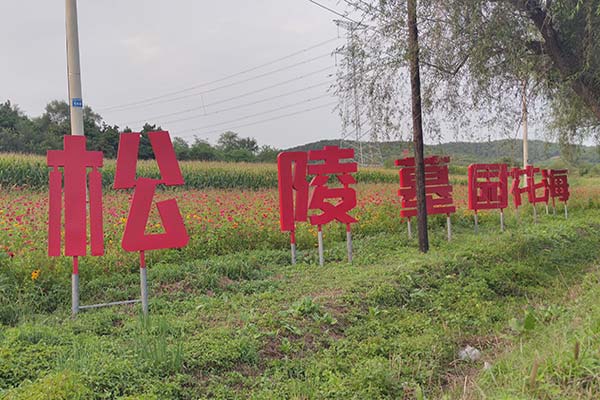 为何选择沈阳家族墓成为越来越多人的选择？